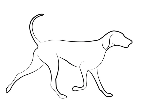 Hound Dog Line Art Vector — Stock Vector