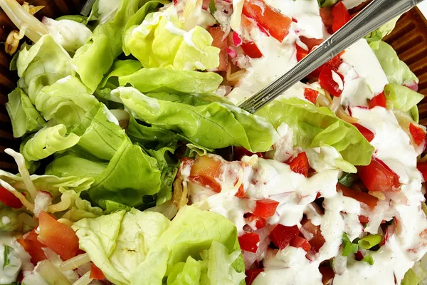 Yeşil salata Telifsiz Stok Imajlar