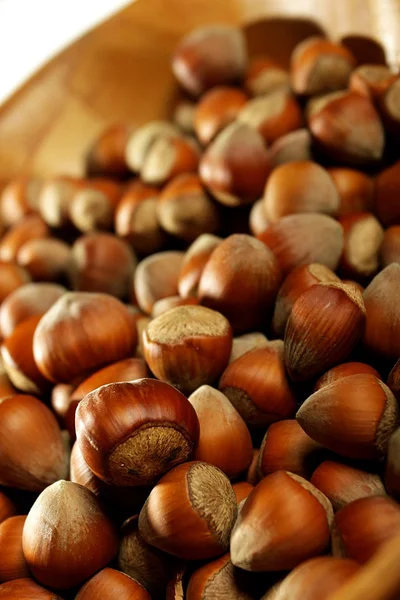 Hazelnuts — Stock Photo, Image