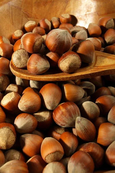 Hazelnuts — Stock Photo, Image