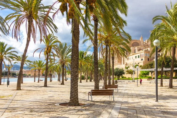 Beautiful view of Mallorca city, Balearic Islands — Stock Photo, Image