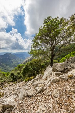 Güzel manzarasına Sierra de Tramuntana, Mallorca, İspanya