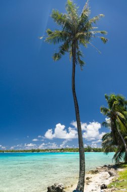 Cennet görünümü Rangiroa Atoll, Fransız Polinezyası