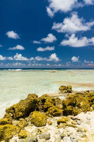 Paradise view Atoll Rangiroa, Francia Polinézia — Stock Fotó