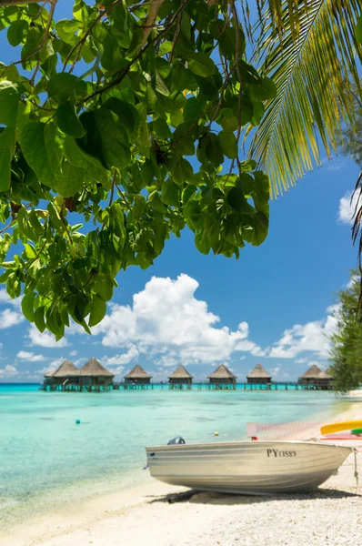 Paradise view of Rangiroa atoll, Polinesia Francesa — Foto de Stock