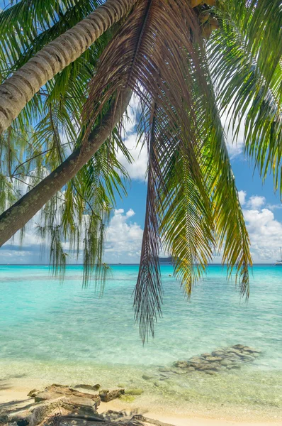 Vue paradisiaque de l'atoll de Rangiroa, Polynésie française — Photo