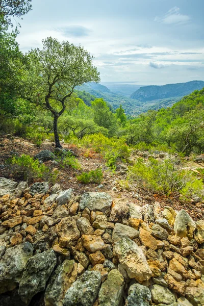 Bela vista de Sierra de Tramuntana, Maiorca, Espanha — Fotografia de Stock