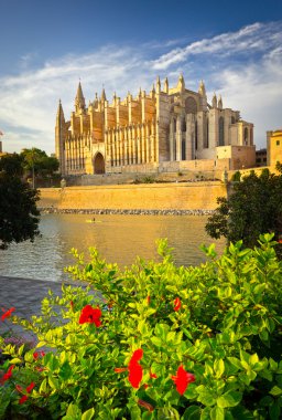 The Cathedral of Santa Maria of Palma de Mallorca, La Seu, Spain clipart