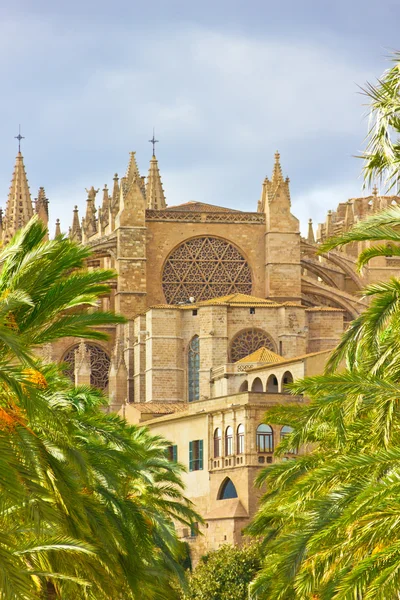 De kathedraal van Santa Maria van Palma de Mallorca, La Seu, Spanje — Stockfoto