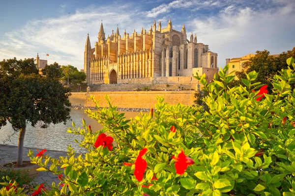 The Cathedral of Santa Maria of Palma de Mallorca, La Seu, Spain Royalty Free Stock Images