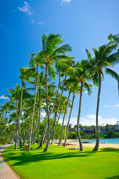 Vacker utsikt över Nawiliwili, Kauai Island, Hawaii, Usa — Stockfoto