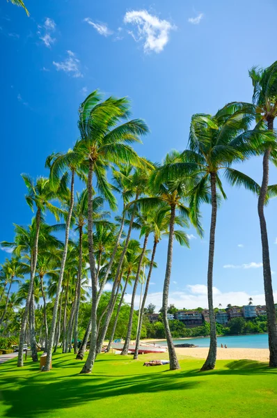 Bela vista de Nawiliwili, Ilha Kauai, Havaí, EUA — Fotografia de Stock