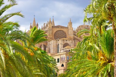 Palma de Mallorca 'daki Santa Maria Katedrali, La Seu, İspanya