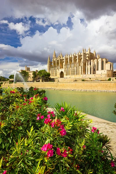 Palma de Mallorca Santa Maria katedrálisa, La Seu, Spanyolország — Stock Fotó