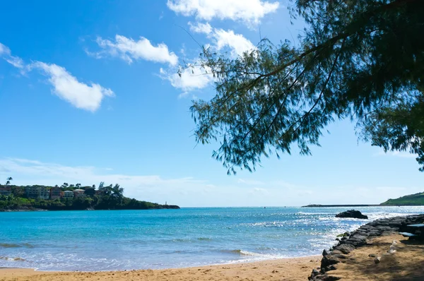 Bela vista de Nawiliwili, Ilha Kauai, Havaí, EUA — Fotografia de Stock
