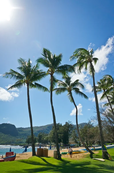 Мбаппе вид на Навиливили, остров Кауаи, Гавайи, США — стоковое фото