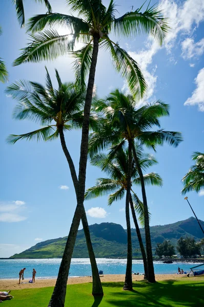 米国ハワイ州カウアイ島ナウィリウィリの美しい景色 — ストック写真