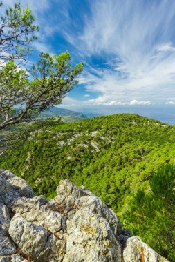 Güzel manzarasına Sierra de Tramuntana, Mallorca, İspanya