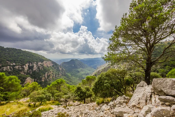 Υπέροχη θέα της Σιέρα Ντε Τραμουντάνα, Μαγιόρκα, Ισπανία — Φωτογραφία Αρχείου