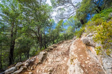 Güzel manzarasına Sierra de Tramuntana, Mallorca, İspanya
