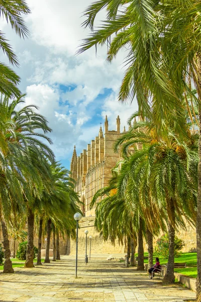 Palma de Mallorca 'daki Santa Maria Katedrali, La Seu, İspanya — Stok fotoğraf