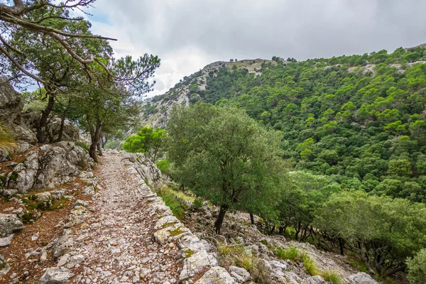 Güzel manzarasına Sierra de Tramuntana, Mallorca, İspanya — Stok fotoğraf