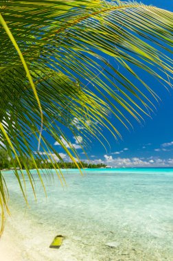 Cennet görünümü Rangiroa Atoll, Fransız Polinezyası