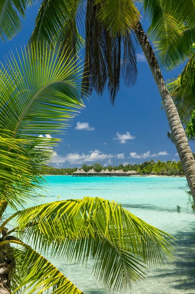 Vista paradisiaca dell'atollo di Rangiroa, Polinesia Francese — Foto Stock