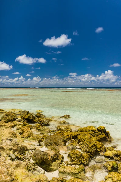 ΠΑΡΑΝΤΑΙΖ ΒΙΟΥ του Rangiroa atoll, Γαλλική Πολυνησία — Φωτογραφία Αρχείου