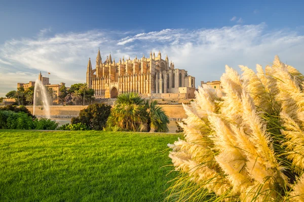 Ο καθεδρικός ναός της Santa Maria της Palma de Mallorca, La Seu, Ισπανία — Φωτογραφία Αρχείου
