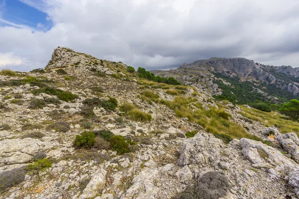 Piękne widoki Sierra de Tramuntana, Mallorca, Hiszpania — Zdjęcie stockowe