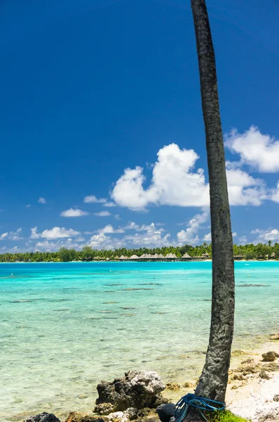 Paradise view of Rangiroa atoll, French Polynesia — Stock Photo, Image