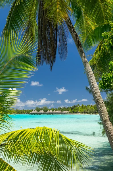 Paradise view of Rangiroa atoll, Polinesia Francesa — Foto de Stock