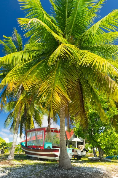 Paradise view Rangiroa Atoll, franska Polynesien — Stockfoto