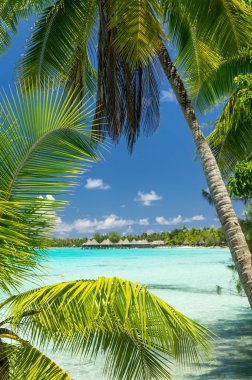 Cennet görünümü Rangiroa Atoll, Fransız Polinezyası