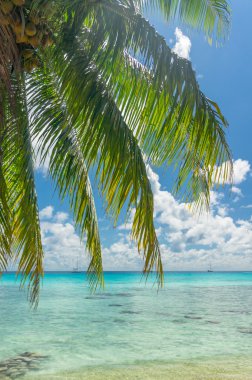 Cennet görünümü Rangiroa Atoll, Fransız Polinezyası