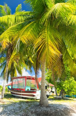 Cennet görünümü Rangiroa Atoll, Fransız Polinezyası