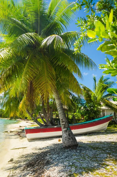 Paradise view of Rangiroa atoll, Polinesia Francesa — Foto de Stock