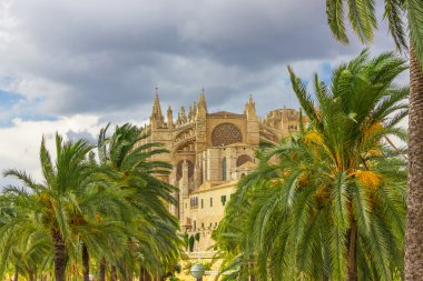 Palma de Mallorca 'daki Santa Maria Katedrali, La Seu, İspanya