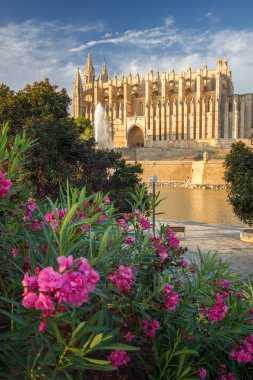 Palma de Mallorca 'daki Santa Maria Katedrali, La Seu, İspanya