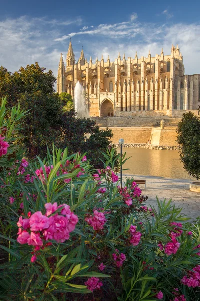 Palma de Mallorca 'daki Santa Maria Katedrali, La Seu, İspanya — Stok fotoğraf