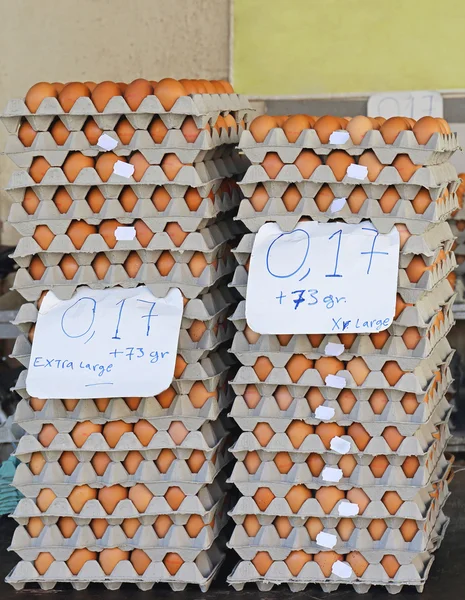 Яйца в лотках — стоковое фото