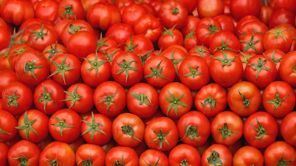 Grote stapel van tomaten — Stockfoto