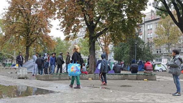 Belgrad'da Suriyeli mülteciler — Stok fotoğraf