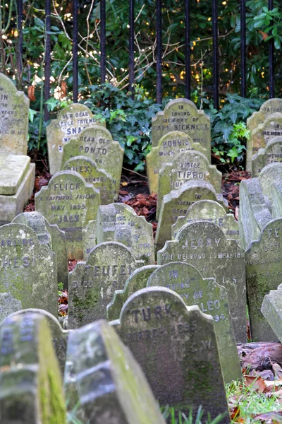 Анимальное кладбище в Лондоне — стоковое фото