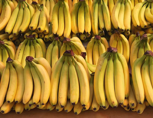 Plátanos en la tienda de comestibles — Foto de Stock