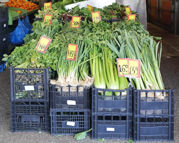 Légumes-feuilles verts — Photo