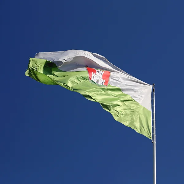 Bandera de Liubliana — Foto de Stock