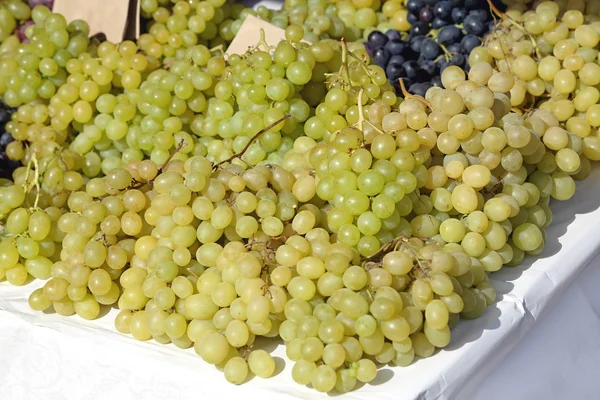 White Grapes in Clusters — Stock Photo, Image