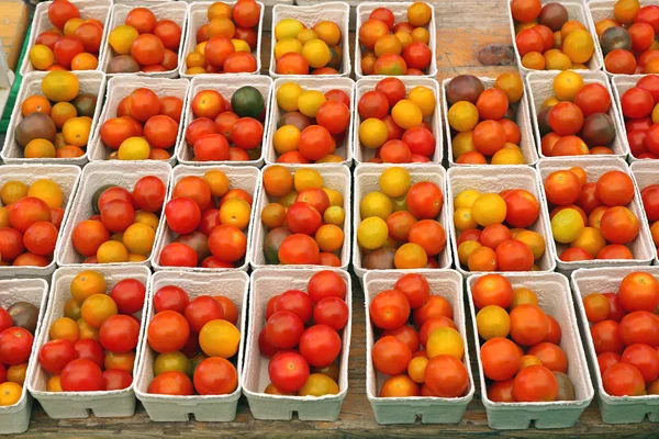 Tomate en bandejas desechables — Foto de Stock